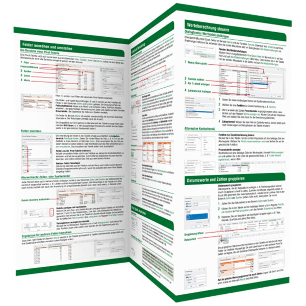 Pivot-Tabellen (PivotTable) Microsoft Excel 365 / Excel 2021 - 2024 Backcover (100673)