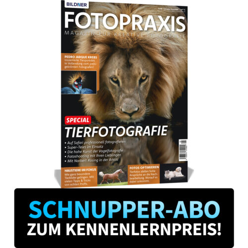 Schnupper-Abo zum Kennenlernpreis Fotopraxis (300003)