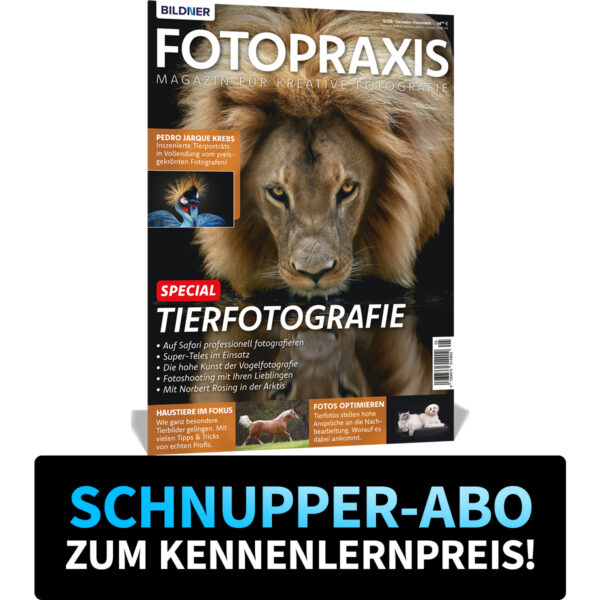 Schnupper-Abo zum Kennenlernpreis Fotopraxis (300003)