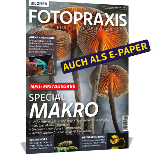 FOTOPRAXIS Heft-Nr. 1/26 (300100)