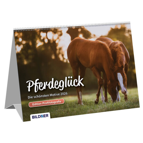 Kalender: Pferdeglück – Die schönsten Motive 2026 (Tischkalender) (100737)
