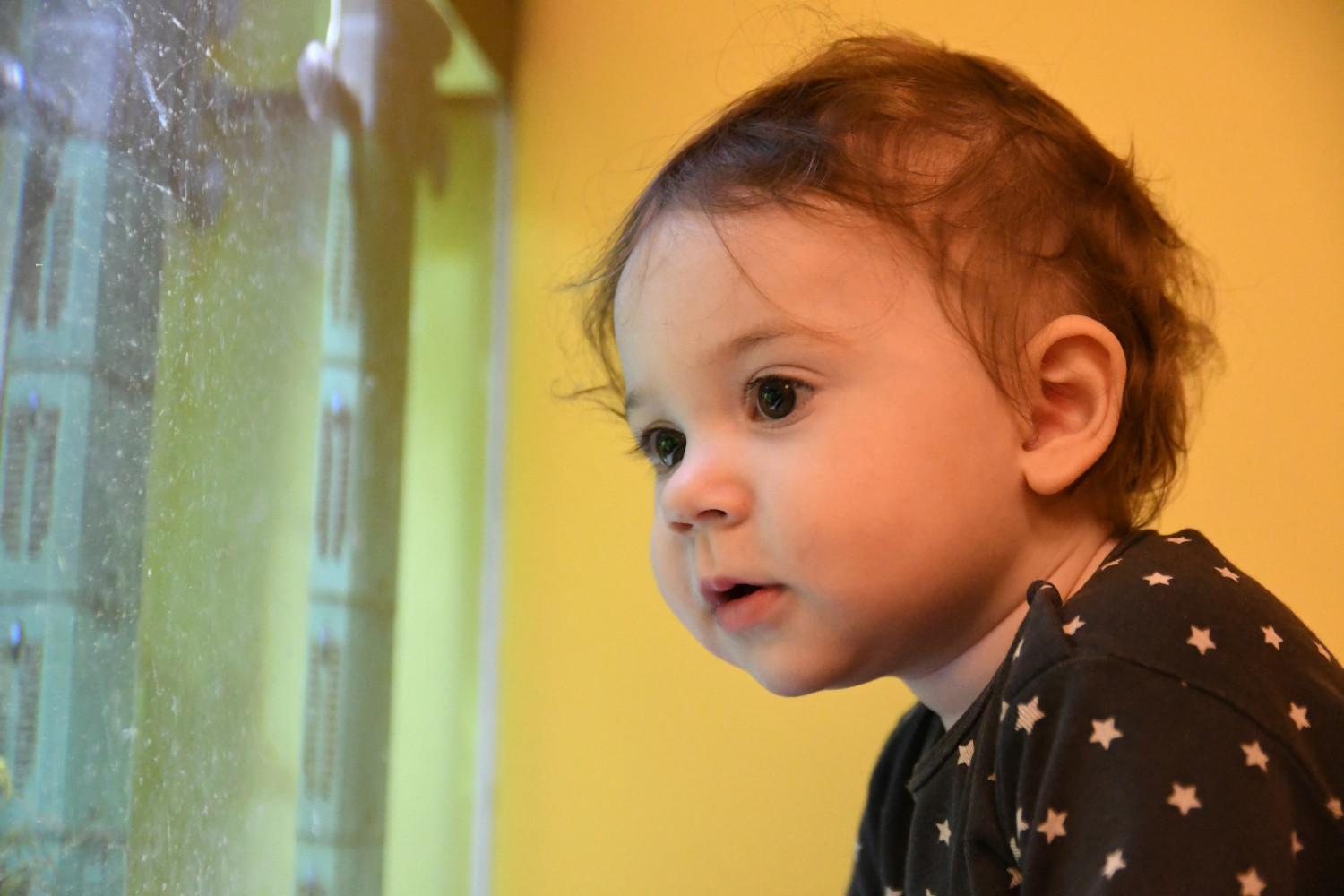 Mischkulnig_Guenter_1