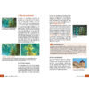 Fujifilm X-E5 - Das umfangreiche Praxisbuch zu Ihrer Kamera Buch Innenansicht 01 (100741)