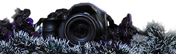 Frohe Weihnachten vom BILDNER Verlag