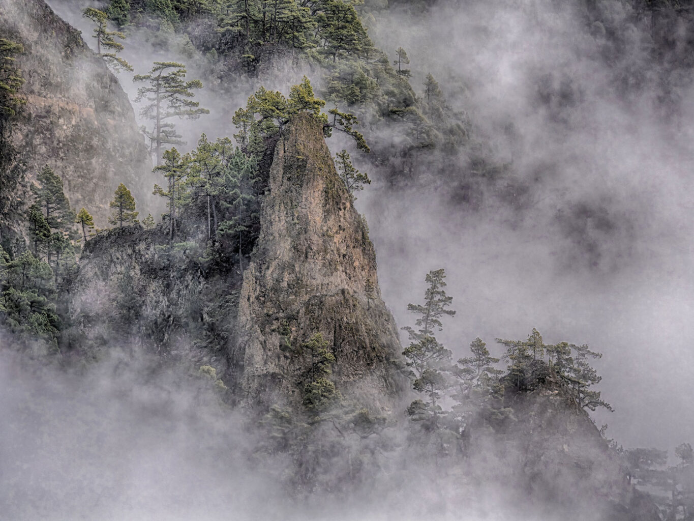 Tenberken_Joerg_3